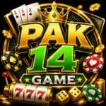 Pak14 Game
