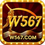 W567 Game