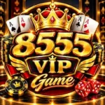 8555VIP Game