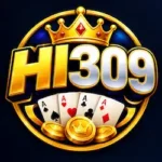 HI309 Game