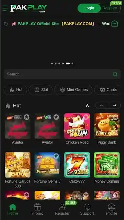 Pakplay