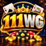 111WG Game