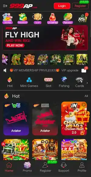 999AP Game