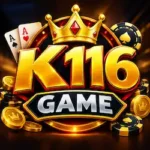 K116 Game
